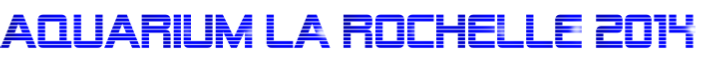 wp1090ccc3.png